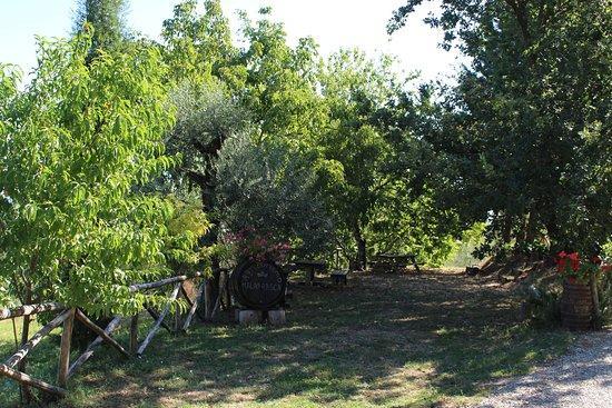 Agriturismo Malafrasca Сиена Экстерьер фото